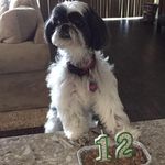 Deborah Ann - @debbiebalch - Instagram