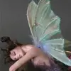 debbie ballard - @debbieballard0 - TikTok