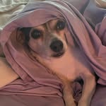 Debbie Ballard - @dballard714 - Instagram