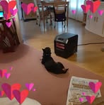 Debbie Ballard - Facebook