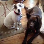 Debbie Ballowe - @euplehook - Instagram