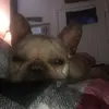 debbiebarber549 - @debbiebarber549 - TikTok