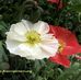 Debbie Barclay - Facebook