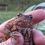 Debbie Barlow - @d.barlow741 - Instagram