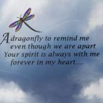 Debbie Baron - @dbaron61 - Instagram