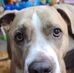 Debbie Barrow - Facebook
