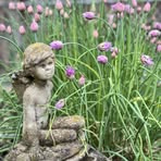 Debbie Bartlett - Facebook