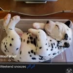 Debbie Bartlett - @debbie_bartlett562018 - Instagram