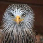 Debbie Bartlett - @debbie.bartlett.52 - Instagram