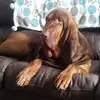 Debbie Barton448 - @debbiebarton448 - TikTok