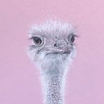 Debbie Barton - @debbie_barton_art - Instagram