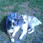 Debbie Barton - @debbiebarton2002 - Instagram