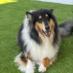 Debbie Bass - @dbass424 - Instagram