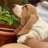 Debbie - @debbiebasset - TikTok