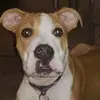 debbiebassett481 - @debbiebassett481 - TikTok