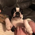 Debbie Baxter - @debbie.baxter - Instagram