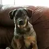 Debbie Baxter - @user4671459046683 - TikTok