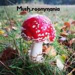 Debbie Beaton - @mush.roommania - Instagram
