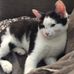 Debbie Beaver - Facebook