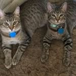 Debbie Beaver - @debbie.beaver.528 - Instagram