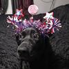 Deb b - @debbiebeck76 - TikTok