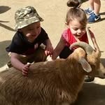 Debbie Beck - @debbie.beck.142 - Instagram