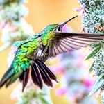 Debbie Beckwith - @debbie.beckwith.photography - Instagram