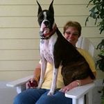 Debbie Benedict - @debbie.benedict.39 - Instagram