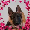 debbiembenedict - @debbiembenedict - TikTok
