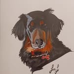 Debbie Benoit Petrenko - @dbpetrenko - Instagram