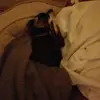 debbiebenoit2 - @debbiebenoit2 - TikTok
