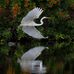 Deborah Hebert Benoit - Facebook