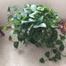 Debbie Bergquist - Facebook