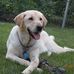 Deb Hove-Bergstrom - Facebook