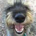 Debbie Bergstrom - Facebook