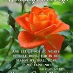 Debbie Bertram - @debbie.bertram.90 - Instagram