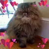 debbiebestwomack - @debbiebestwomack - TikTok