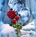 Debbie Biggs - Facebook