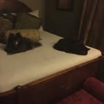 Debbie Biggs - @debbiebiggs206 - Instagram
