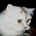 Debbie Biggs - Facebook