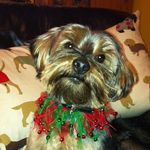 Debbie Biggs - @debbie.biggs.1966 - Instagram