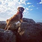 Debbie Bingham - @mahgnib2 - Instagram