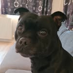 Debbie Bingham - @debbie.b65 - Instagram