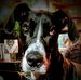 Debbie Bingham - Facebook