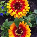 Debbie Bittner - @bittnerdebbie - Instagram