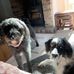 Debbie Bland - Facebook