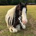 Debbie Bland - Facebook
