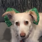Debbie Bland Schain - @my_sophie_girl - Instagram