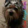 Debbie Boles - @diecutdeb - TikTok