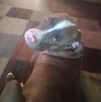Debbie Boles - Facebook